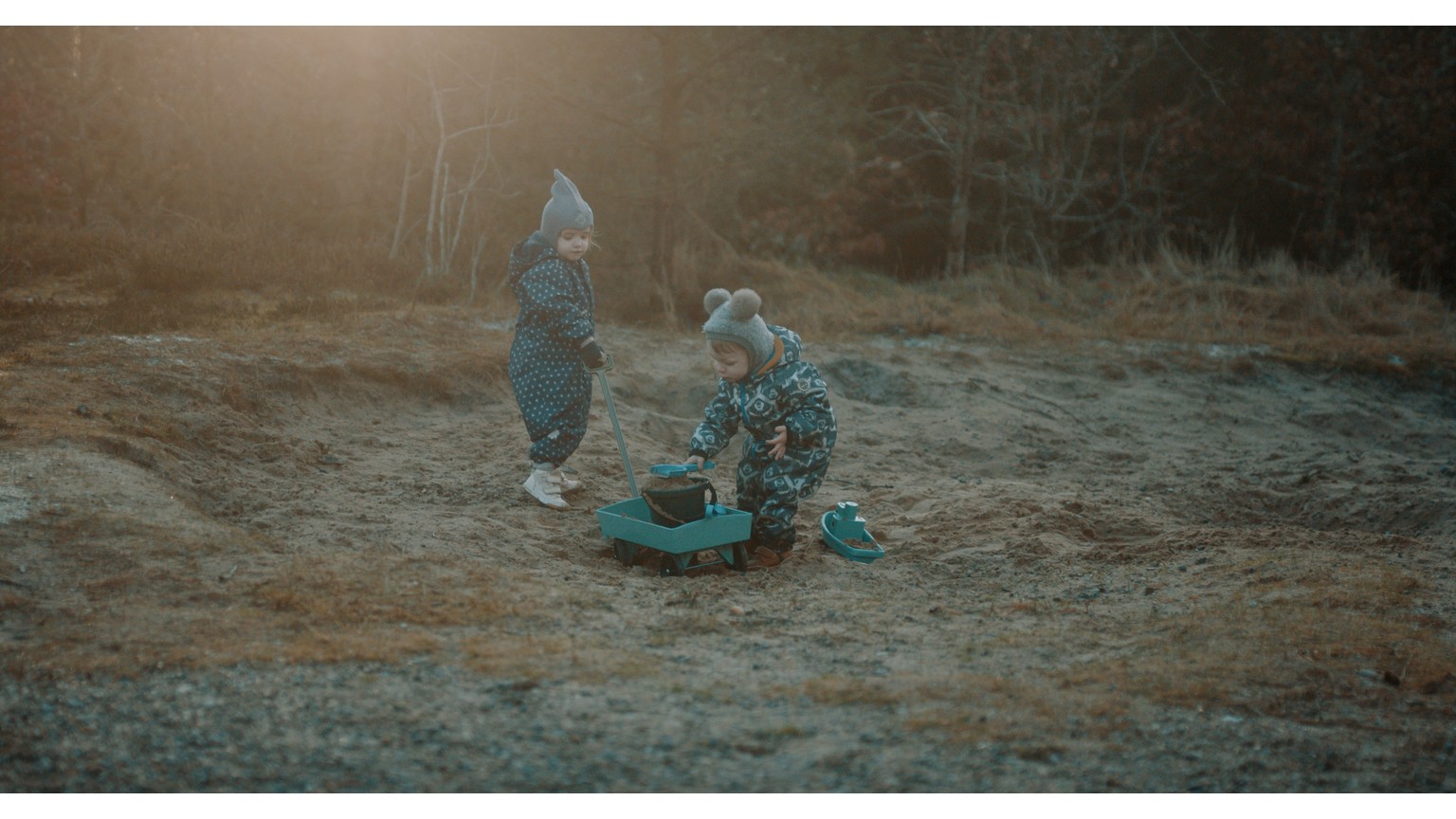 Bmt Pull Cart, L: 54 Cm